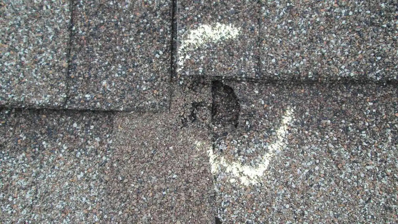 Hail damage on roof showing bruising and granule loss
