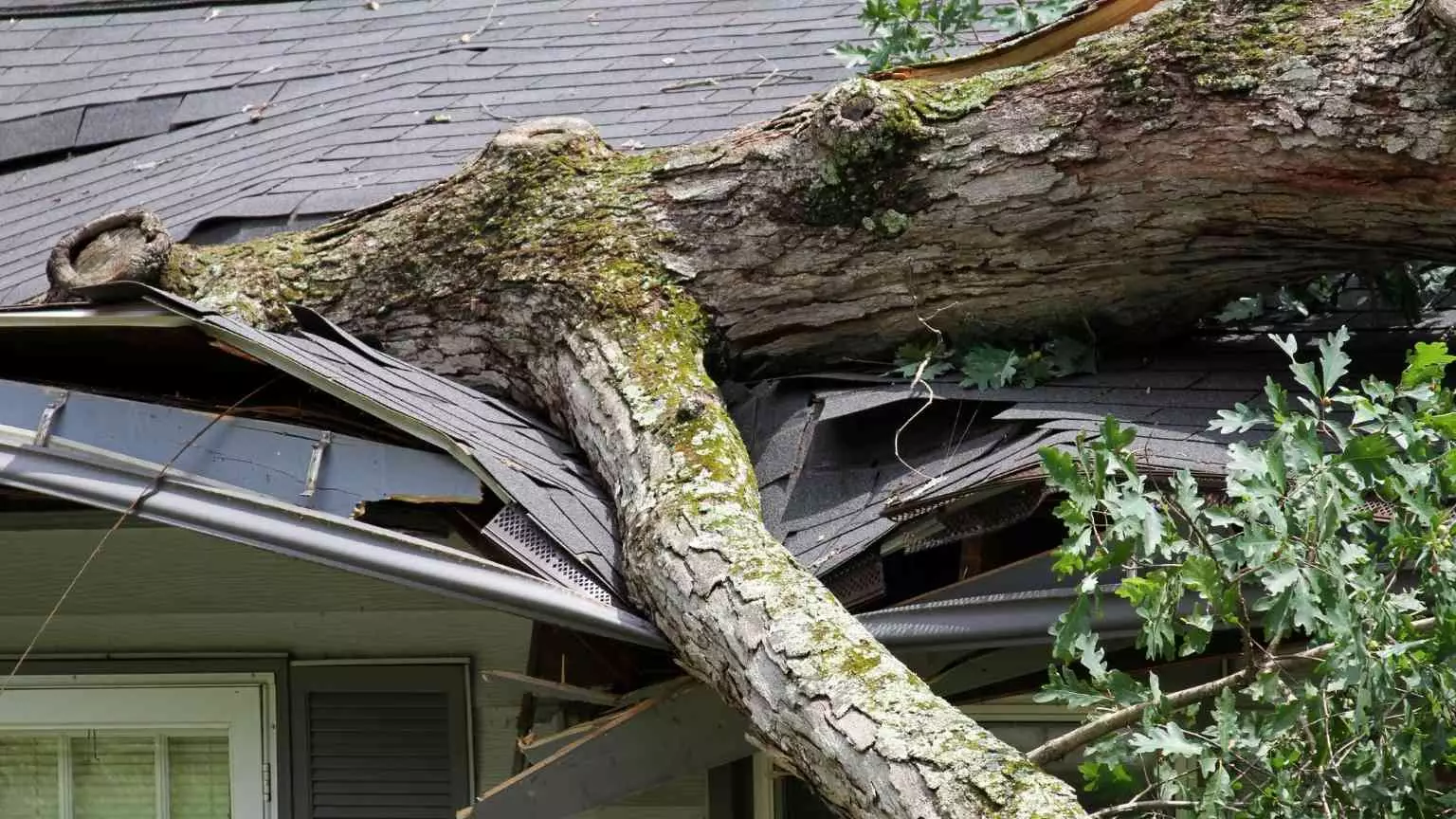 Roof with storm damage after a storm