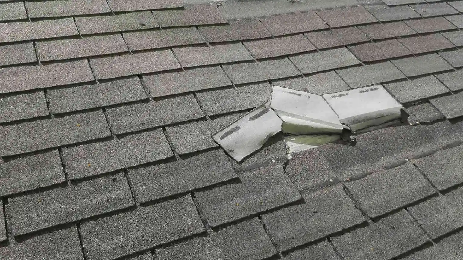 Damaged shingles on a residential roof