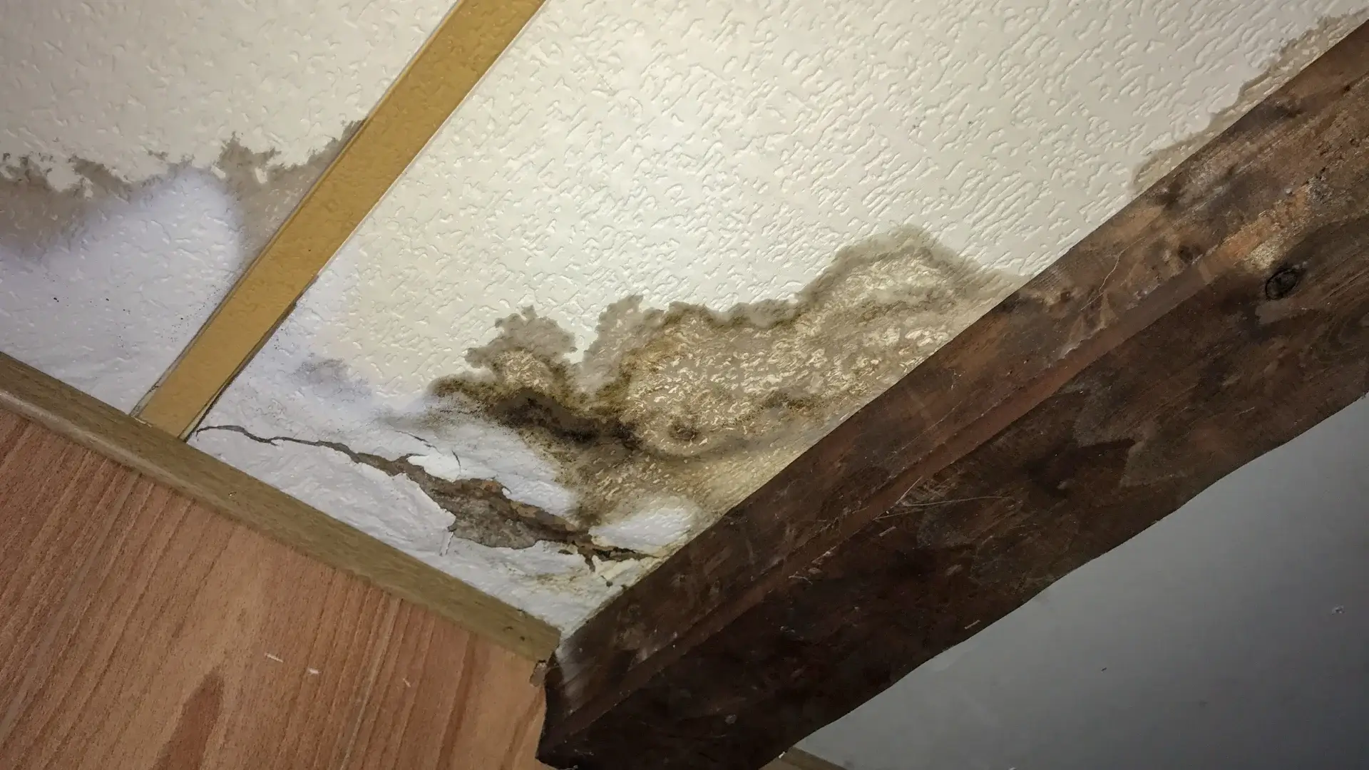 Water damage on wood beams inside a home attic